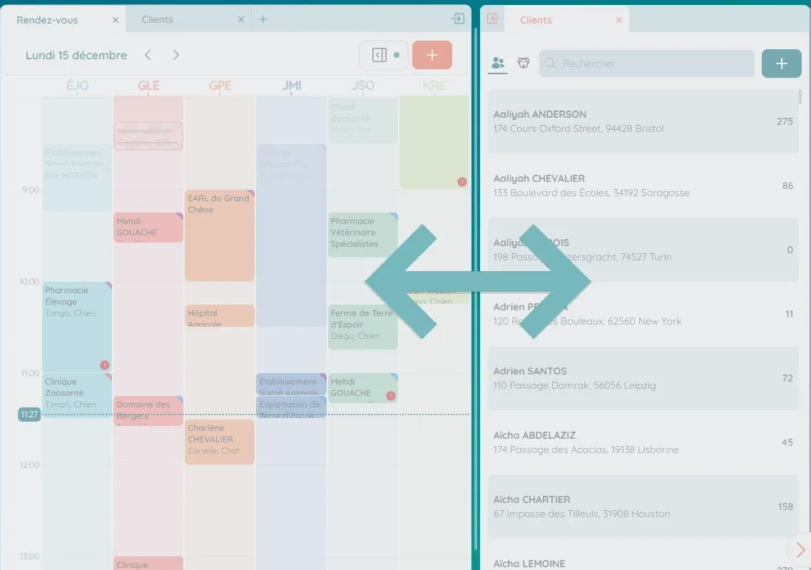 Concept “Double Zone”