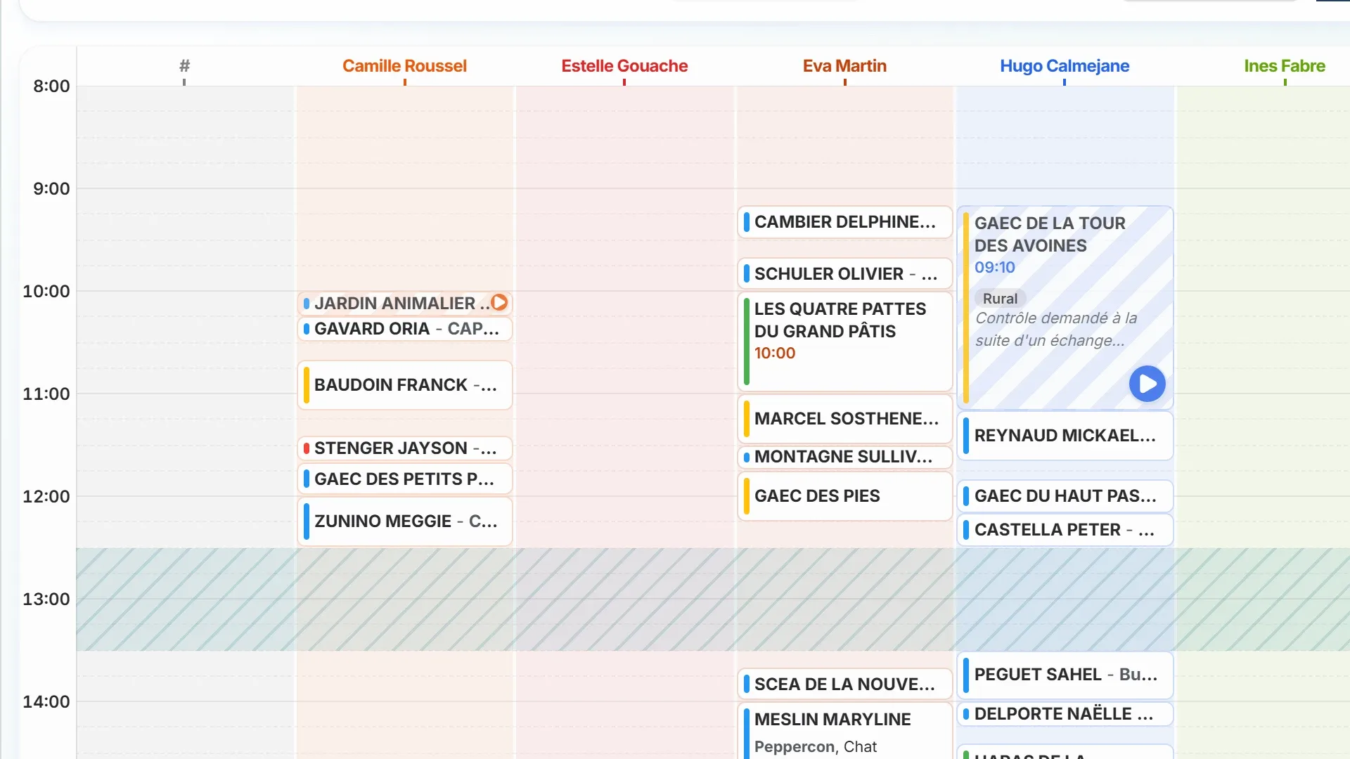 Veterinary calendar showing several team members and appointments