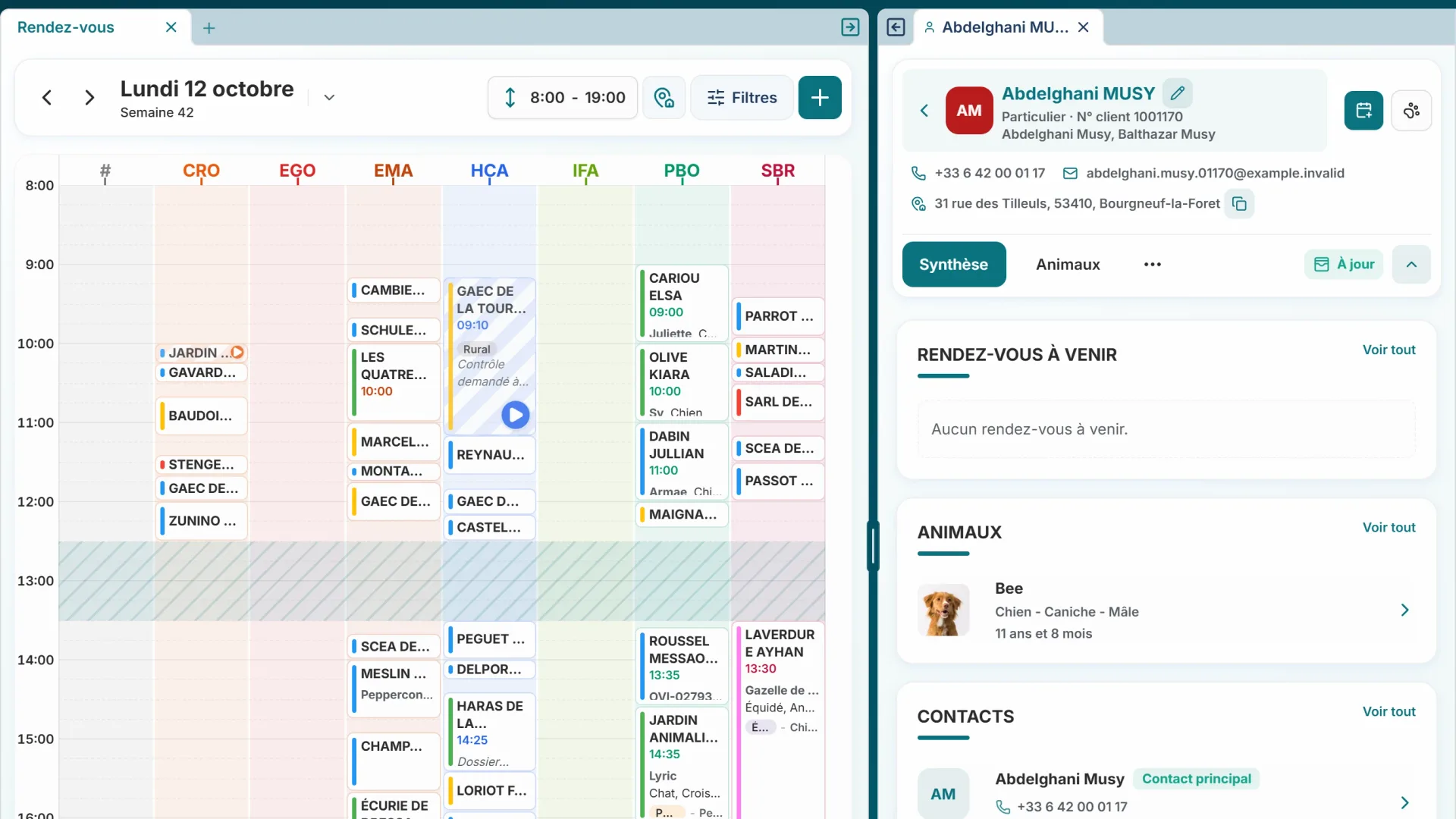Aperçu de l’agenda et d’une fiche client dans VetCoreSolution